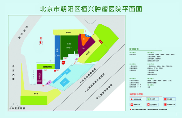 骚逼被操视频女人高潮迭起北京市朝阳区桓兴肿瘤医院平面图